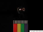 L_V20d4090 A16q166.2 R827 dM bd f34.JPG L_V20d4090 A16q166.2 R827 dM bd f34